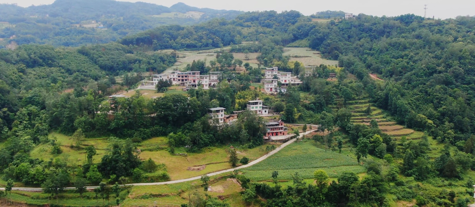封面1